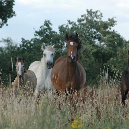 Вілла Petit Gite A La Ferme Rosnay  Екстер'єр фото