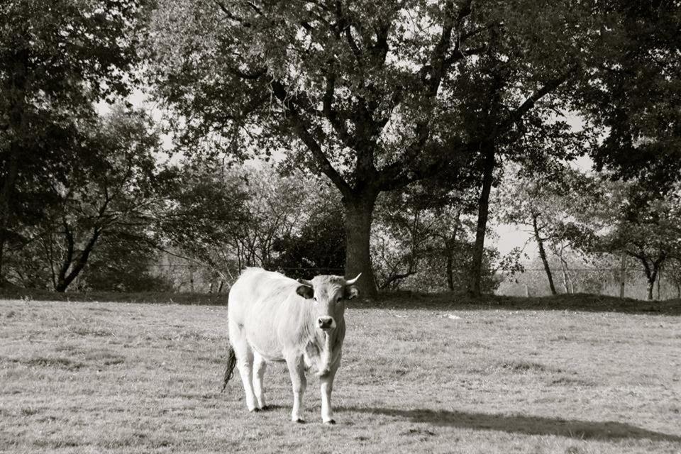 Вілла Petit Gite A La Ferme Rosnay  Екстер'єр фото