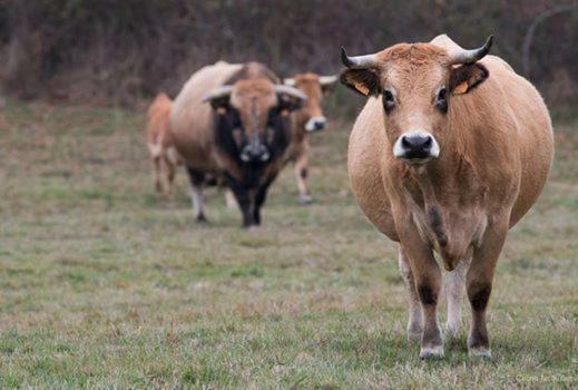 Вілла Petit Gite A La Ferme Rosnay  Екстер'єр фото